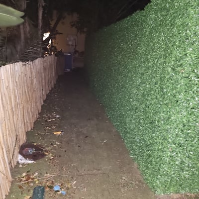 שביל עם גדר עץ וגדר ירוקה מלאכותית