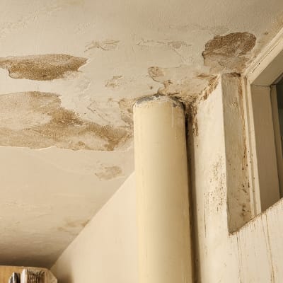 תקרת גבס עם כתמי רטיבות והתקלפות צבע