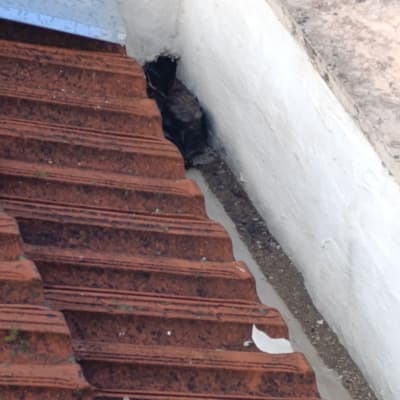 רעפים על גג עם חור בקיר סמוך