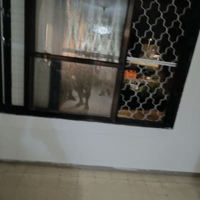 חלון עם סורגים ודלת זכוכית