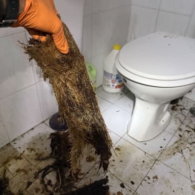 שורשים סתומים בשירותים, עבודה בתחום האינסטלציה