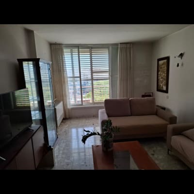 סלון עם ספה, שולחן וצמח, חלון גדול עם וילונות