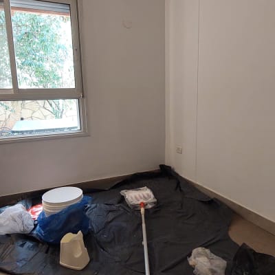 כלי צביעה, יריעת ניילון, דלי צבע ומברשת