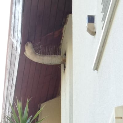 צינור עם דוקרנים למניעת קינון יונים