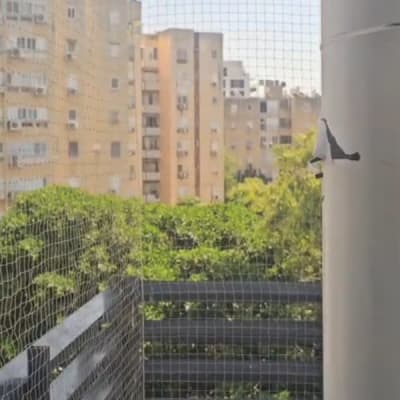 התקנת רשת שקופה להרחקת יונים במרפסת דירה