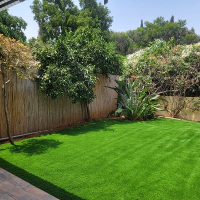 גינה עם דשא ועצים ירוקים