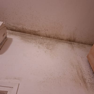 קיר עם סימני עובש ולכלוך