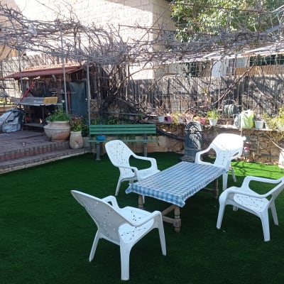 עציצים עם צמחים, מזלף השקיה, גפנים על פרגולה