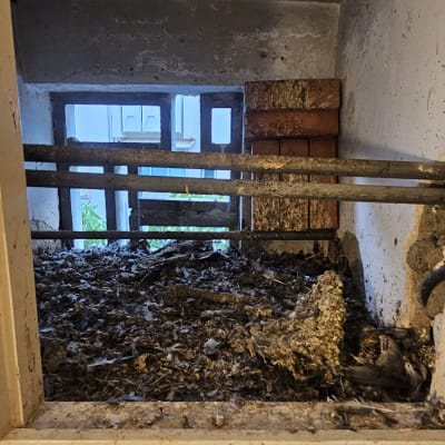 לכלוך ופסולת יונים על אדן חלון