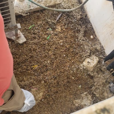 אדם עם שקיות על נעליים עומד על רצפה מלוכלכת