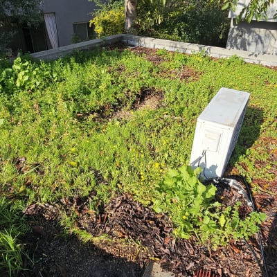 גינת גג עם צמחייה ירוקה וצינורות השקיה