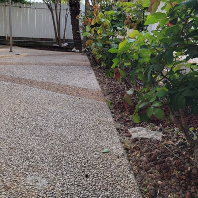 שיחים ירוקים ופרחים בגינה לצד שביל מרוצף