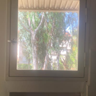 חלון זכוכית עם נוף עצים בחוץ