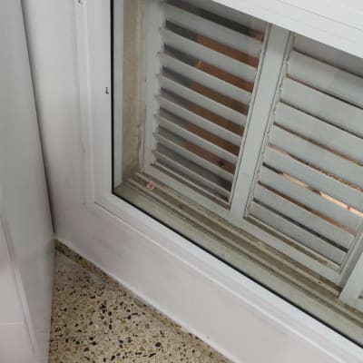 חלון עם תריסים לבנים וקיר צבוע