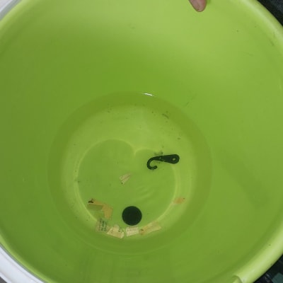 דלי ירוק עם מים וחפצים קטנים בתוכו