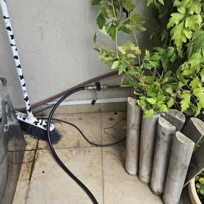 צינור מים מחובר לברז ליד צמחייה ירוקה