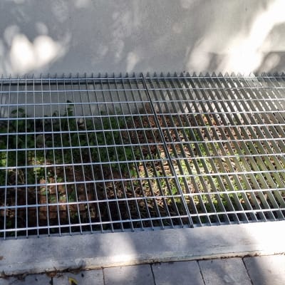 סורג מתכת מעל צמחייה על רצפת בטון