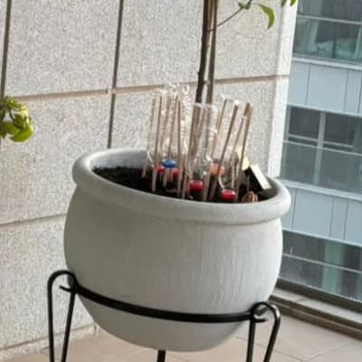 עציץ גדול על מעמד מתכת עם צינורות פלסטיק