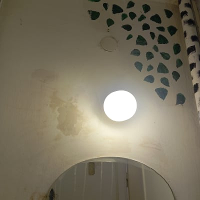 קיר עם עלים ירוקים צבועים ומראה עגולה