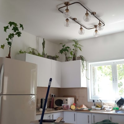 מטבח עם צמחים וכלים על השיש