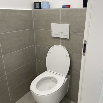 אסלה תלויה עם לחצן הדחה על הקיר