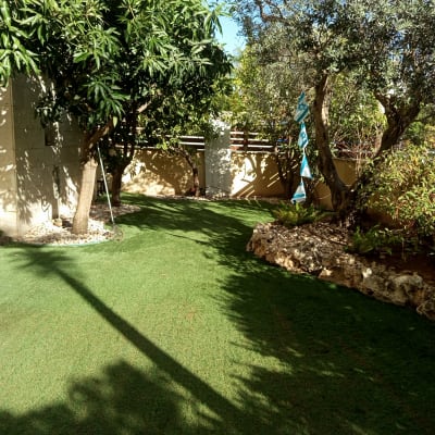 גינה עם עצים ודשא ירוק