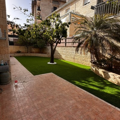 חצר עם דשא ועצים, ללא אנשים או טקסט.