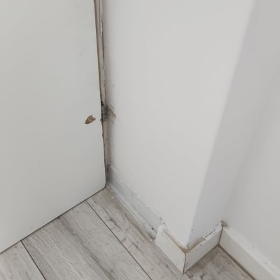 דלת פגומה עם קילוף צבע ליד קיר