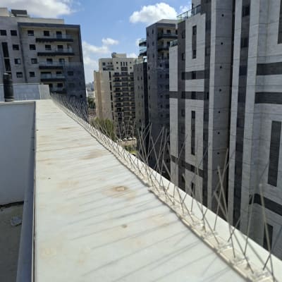 בניינים גבוהים עם דוקרנים להרחקת יונים