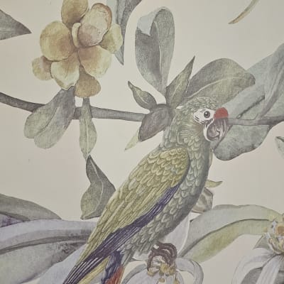 תוכי צבעוני על רקע עלים ופרחים