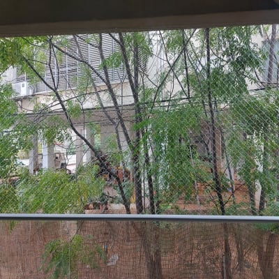 רשת מתכת מותקנת למניעת כניסת יונים