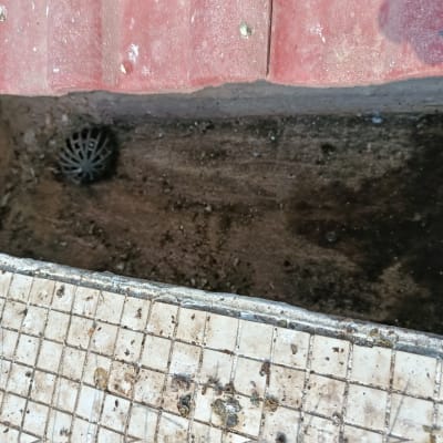 תמונה של גג עם ניקוז מים