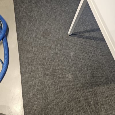 צינור כחול על שטיח אפור ליד שולחן לבן