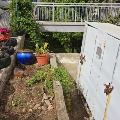 עציצים עם פרחים וצמחים בתוך צמיגים ממוחזרים