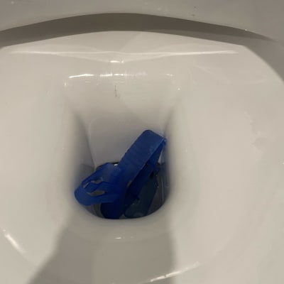 חפץ כחול בתוך אסלה לבנה