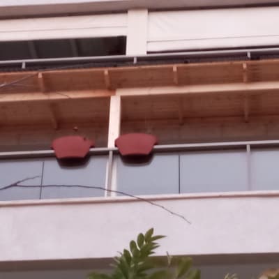 מרפסת עם גג עץ ועציצים תלויים