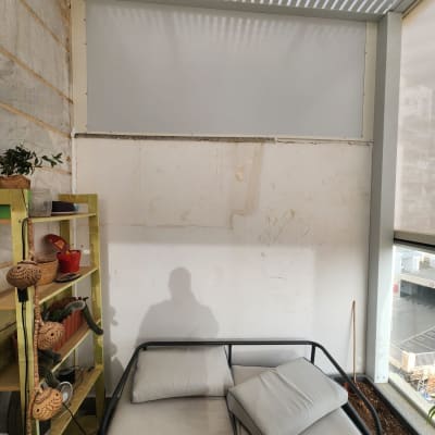 מרפסת עם ספה, מדף וצמחים, לא מציג עבודה בתחום