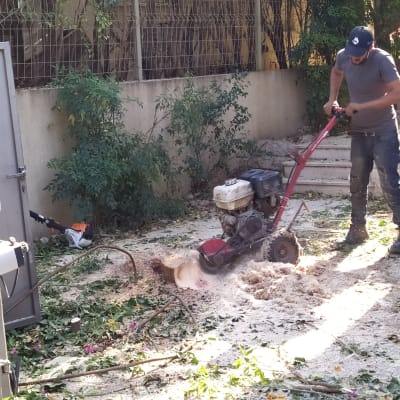 אדם משתמש במכונת חיתוך לעץ בגינה