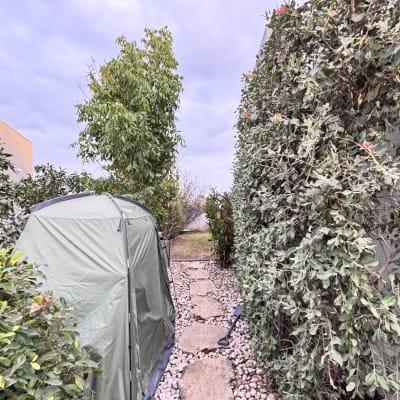 שביל אבנים בין שיחים ועצים בגינה