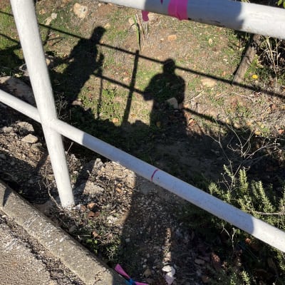 צלליות של אנשים עם ציוד מדידה על הקרקע