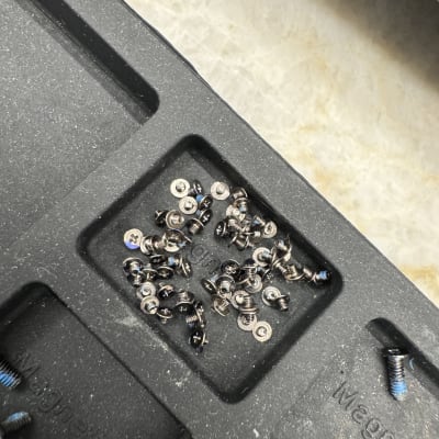 ברגים קטנים במגש מגנטי לתיקון מחשבים