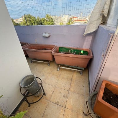 תמונה אינה מציגה עבודה בתחום