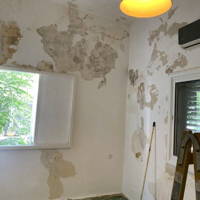 קירות מתקלפים, סולם, מגש צבע ומברשת