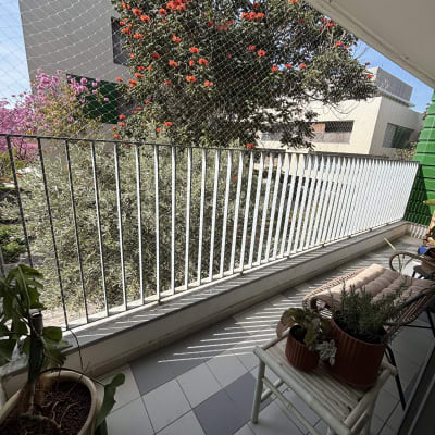 מרפסת עם רשת הגנה ועציצים, עץ פורח ברקע