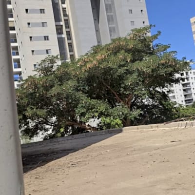 תמונה אינה מציגה עבודה בתחום