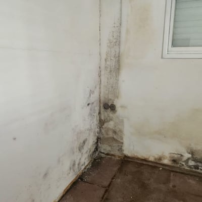 קיר עם סימני רטיבות ועובש בחדר