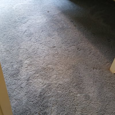 שטיח כחול עם סימני לכלוך קל