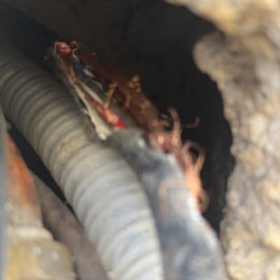 חוטי חשמל פגומים בתוך צינור