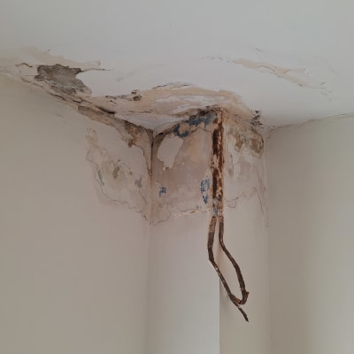 תקרה פגומה עם קילופי צבע וחלודה