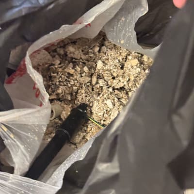 תמונה אינה מציגה עבודה בתחום